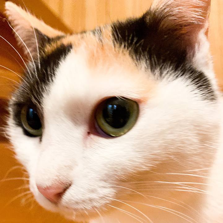 8c4bde2b 8acd 4198 b423 0f45f710dd4d 1546047155400