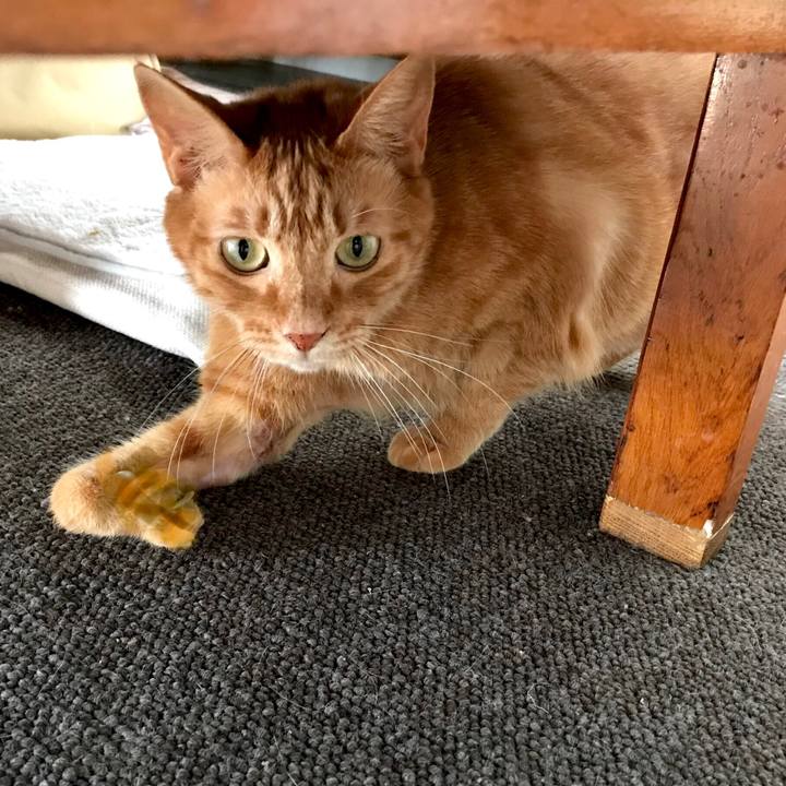 8c4bdf77 bffe 4f51 8660 bc22fd48e60d 1547181629491