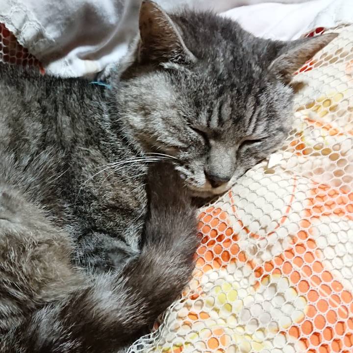 8c4bf6f8 72f1 4509 8bac 83abf2014425 1571058845331