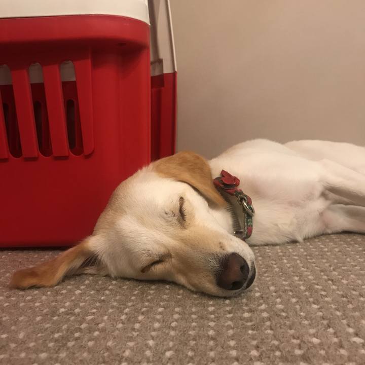 8c4c3e54 3cbd 4039 8e6d b9d40b04f8c5 1538226777911