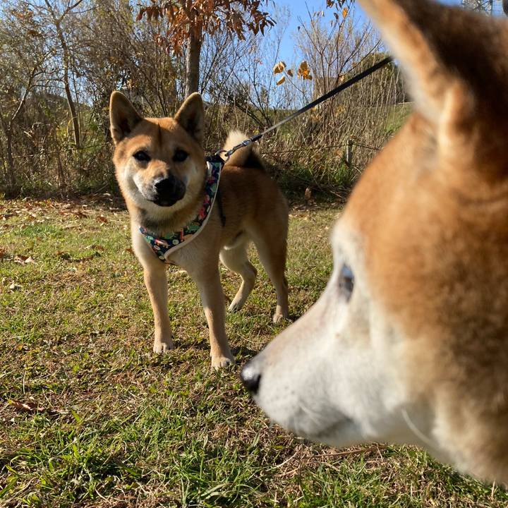 8c4c45a8 ea0b 4083 9ed7 a31f79f876ec 1765174032376