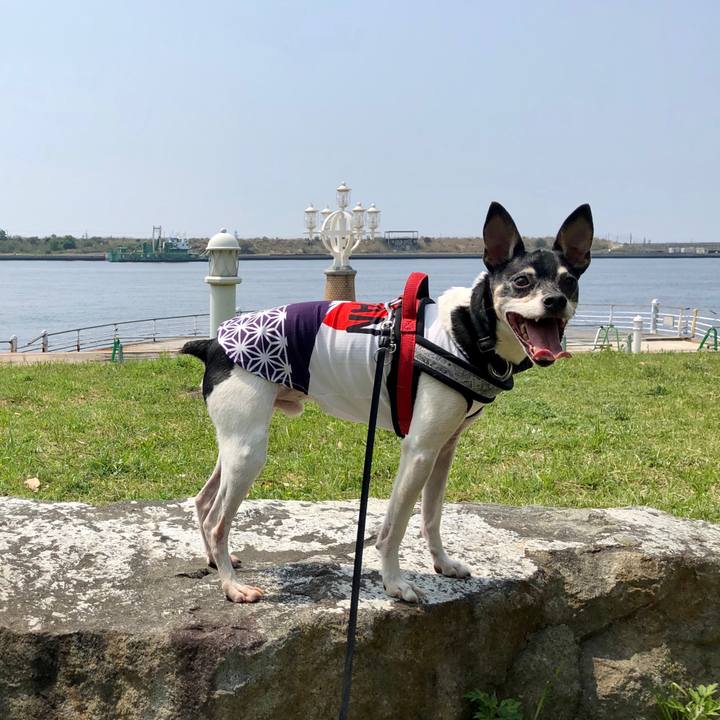 8c4c5701 044d 4d0c bfa2 64372a6b57a2 1555829503534