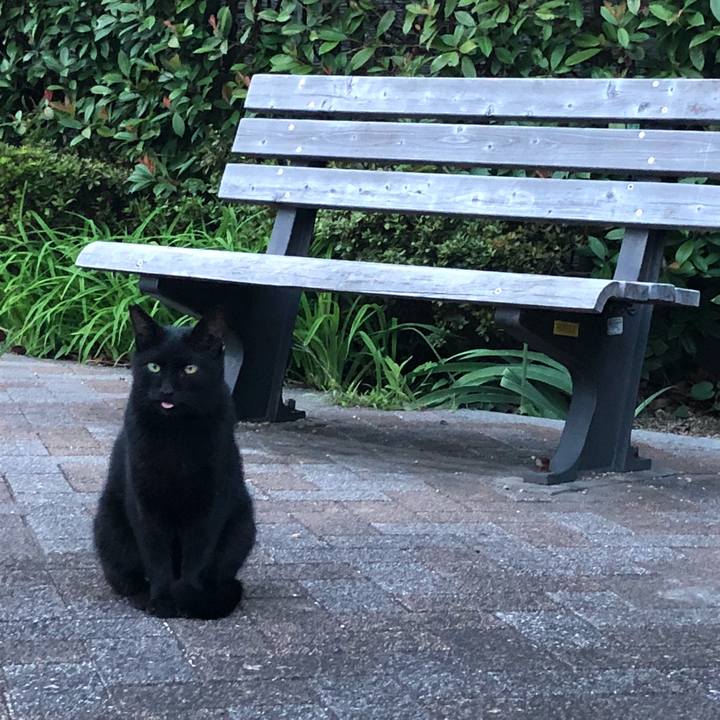 8c4c61c0 f244 4702 abb1 b2cf46b13cb2 1534673957375