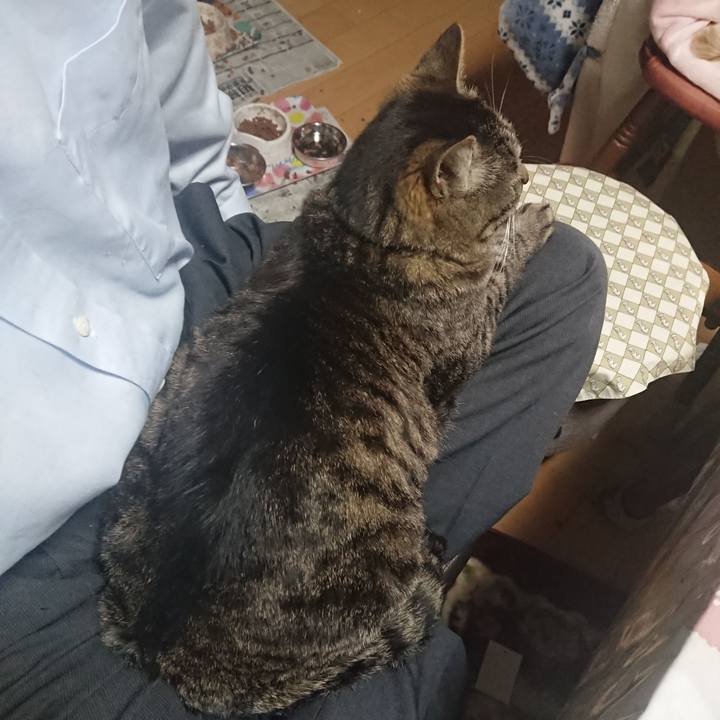 8c4c6c62 ff62 47ef bd3c 0f23d6520af6 1651234642838