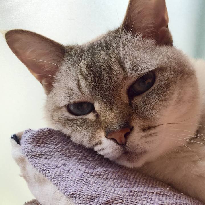 8c4cdc28 c10a 4749 9bdf 190cddff77f7 1529645059845