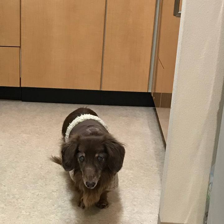 8c4d4a5b 6a79 4331 b19d 1fc646a0d8ab 1516095674860