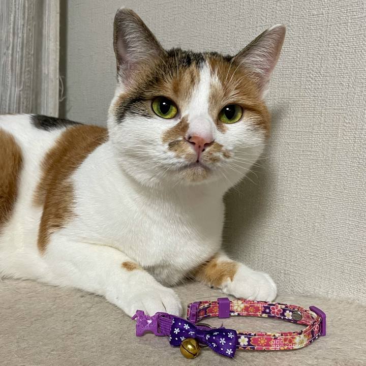 8c4d58dd 20e3 4cc0 af1f cfcdd97680a0 1607261814517