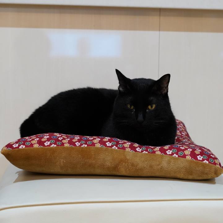 8c4d6473 5f2a 4500 bce6 3f42bbfc63f8 1572565881379