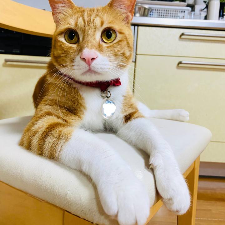 8c4d6ad3 e983 438d b42e 0a4136ddf7c6 1685106133789