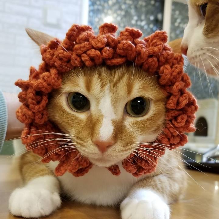 8c4d7a1d 5e58 4710 9341 59606a09bde7 1553000117629