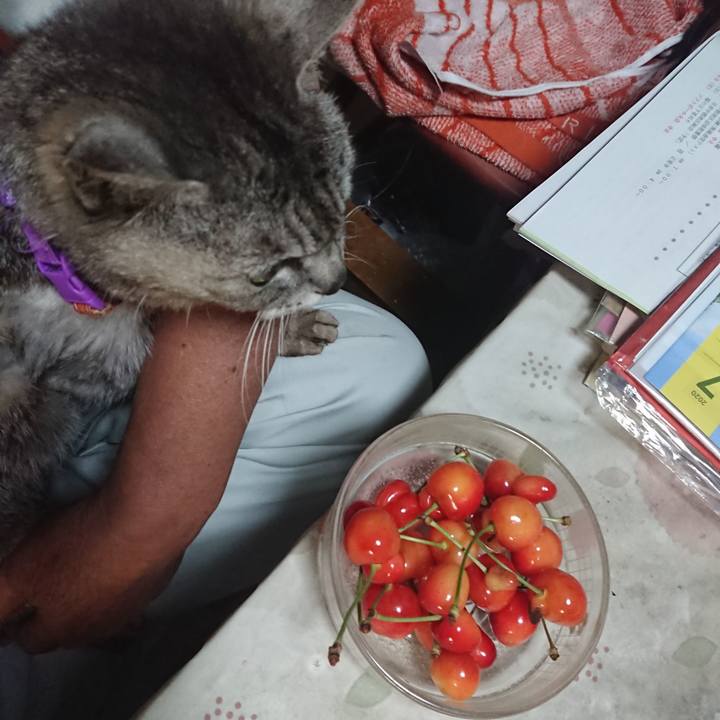 8c4d7af5 1ba1 42f8 b15a b12ac2fe6511 1593121029803