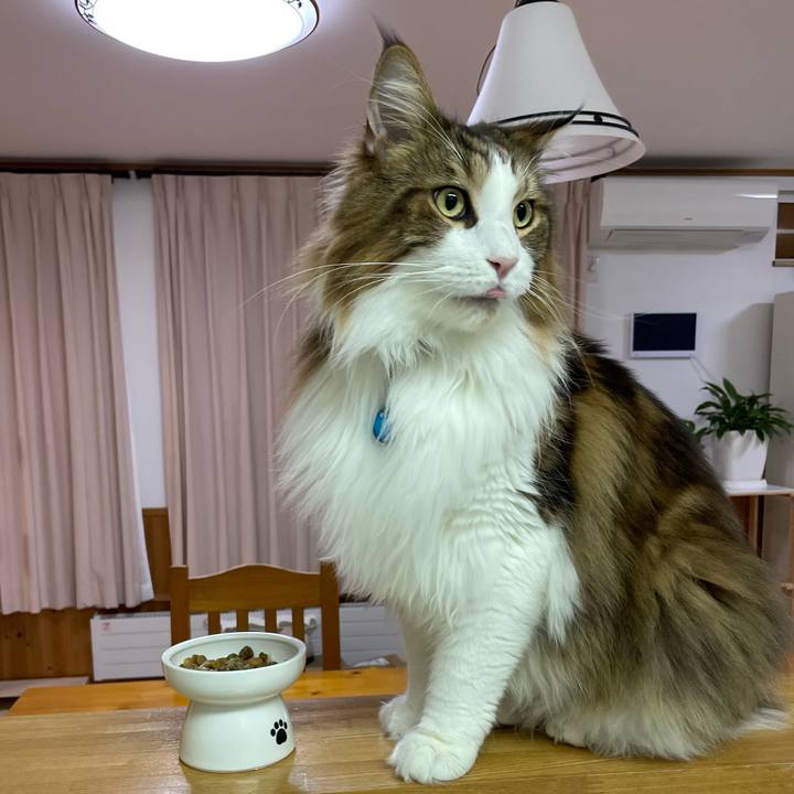 8c4d9b25 ba6c 410b a5ba 69cfd99f2429 1704833587760