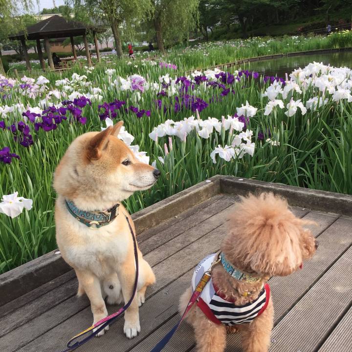 8c4da361 cc6e 4ed2 b48f 200b5811fdea 1527424387157