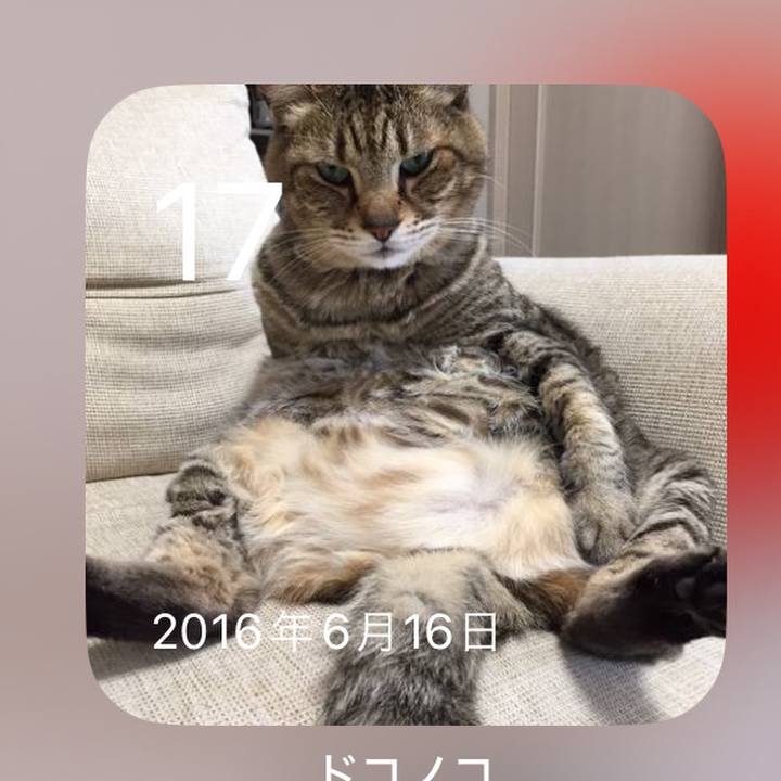 8c4da3f0 ae71 4613 81e4 3a4ebd3b5c07 1718627480812