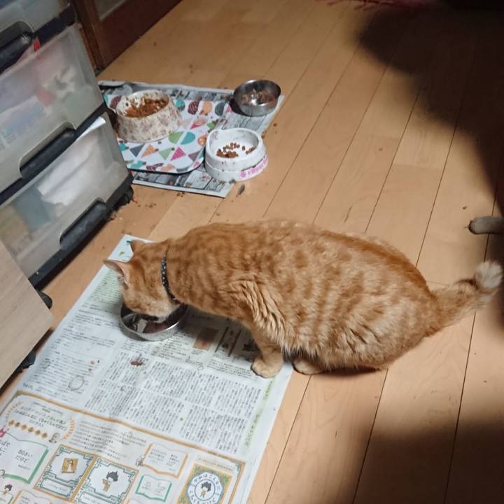 8c4da8c1 396e 4951 9111 21be306a1309 1652474680173