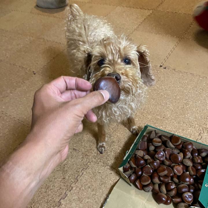 8c4db6b4 c7f8 45c4 91ee e229ad653e6d 1663839789854