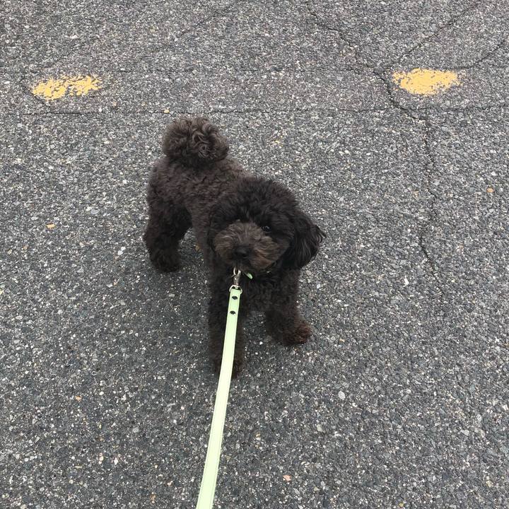 8c4dbe77 a211 47dd a1ea 2e3d50aaeb4b 1582608223979