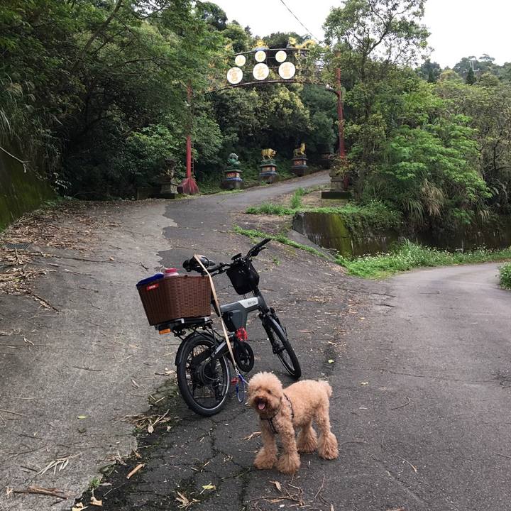 8c4e12dc 3b6e 49a7 b7c2 60911975b191 1584198123173