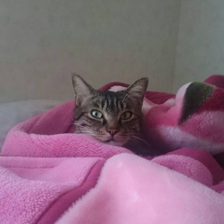 8c4e55e8 8f7b 4c24 9839 25aaf563db47 1508306347871