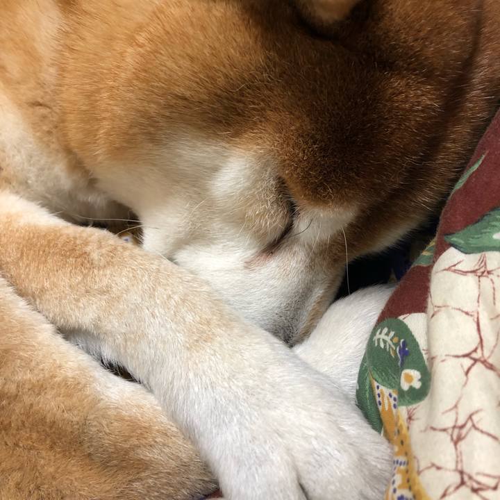 8c4e6c1c dadc 41df a69d 3a961b548543 1551618943659