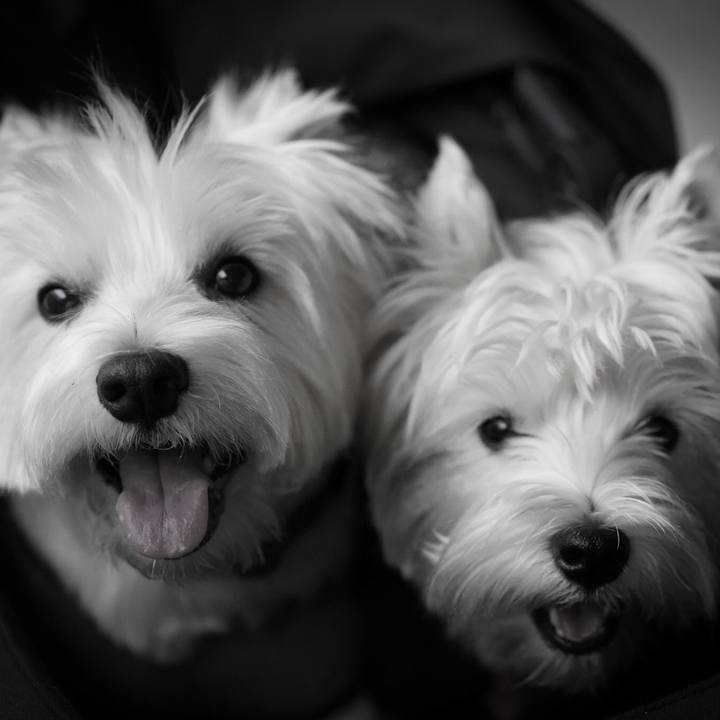 8c4e7870 02e2 4f0e aa14 cdda6824ec15 1533902170833