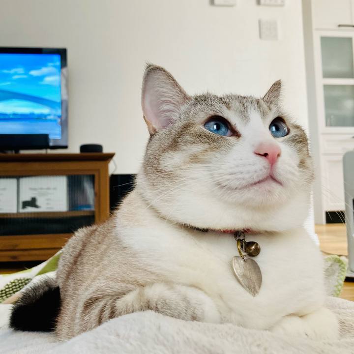 8c4e858f b312 4d73 85cd 833669a7127d 1611454810502