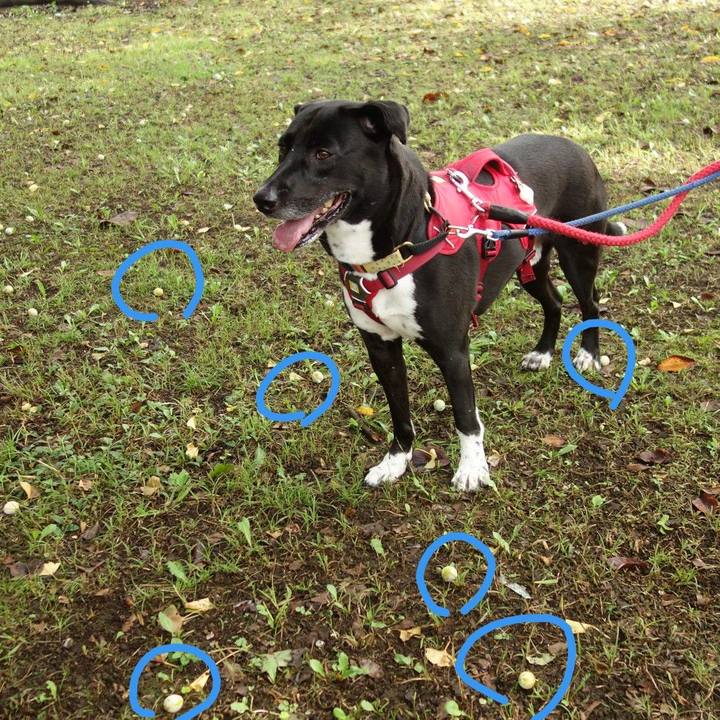 8c4eba2f feb8 456c bcc0 bf929bc5417c 1631664695190