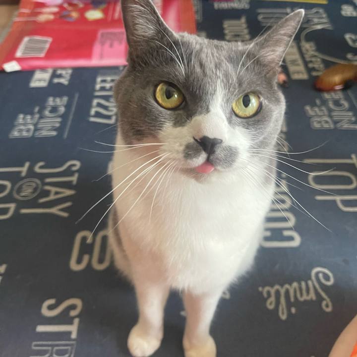 8c4ed09f 59ce 40bc 9471 bd13a186b325 1723341400491