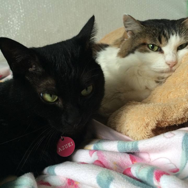 8c4ee74e 1090 4ff9 a581 a7005f330ffd 1509368930256