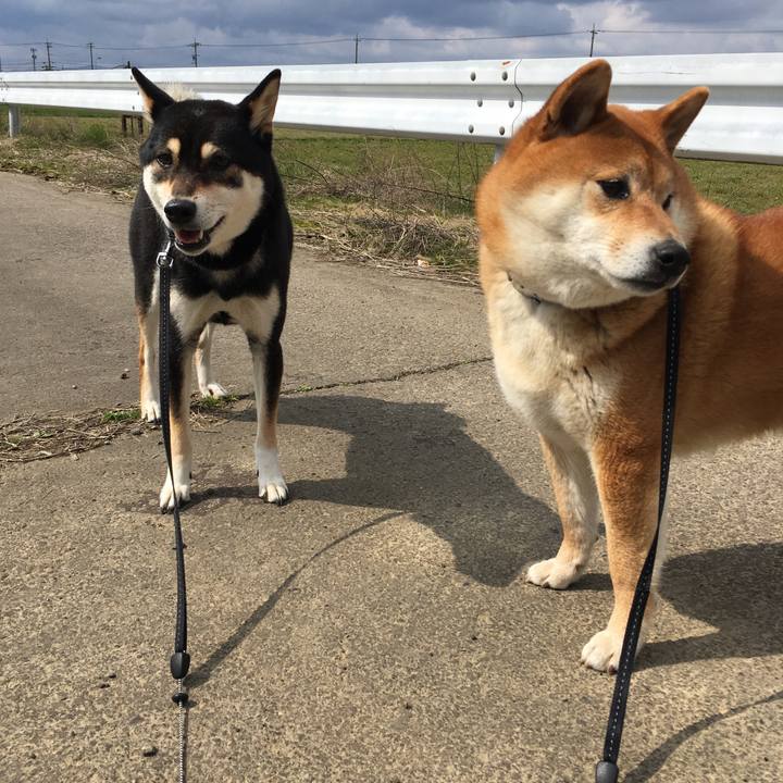 8c4ef725 c781 419a 8661 8e1718ead353 1552708533229