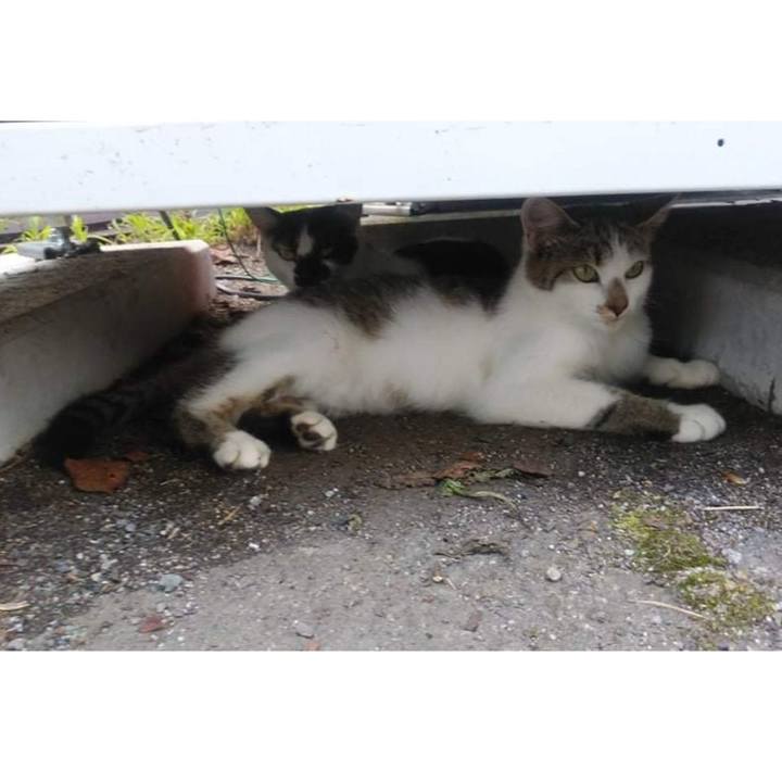 8c4f14ca c074 463b b3e1 61dfa92a01f8 1626746091237