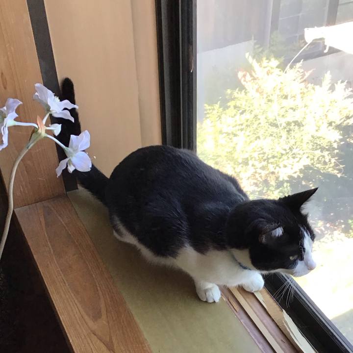 8c4f1f8f 3508 4340 a8d4 f6cfed2e6ade 1745909980934