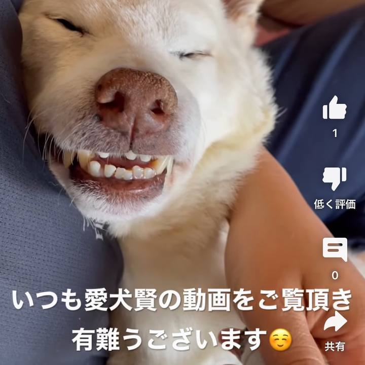 8c4f436f 1485 482e 9313 63e87cfa937f 1683086791643