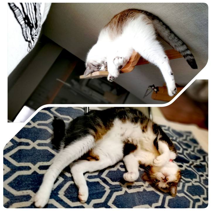 8c4f7df2 48df 4e0b 98b7 b60ab518e804 1563934846176