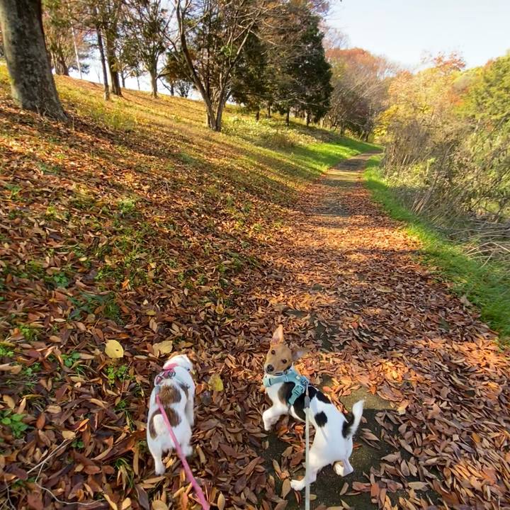 8c4f9aa6 9367 4ae3 9425 1c1fe8ae0d07 1764478999585