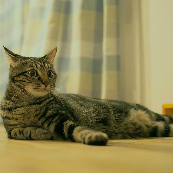 8c4fc3b7 476e 41e5 b98e 2d0cdaa009a0 1537705849665