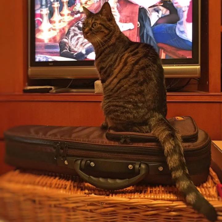 8c4fe14e 8482 4291 b49b e63931101c56 1760045807361