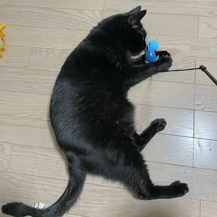 8c5008cd 259d 4e05 9228 01637b40a2e7 1714480077690