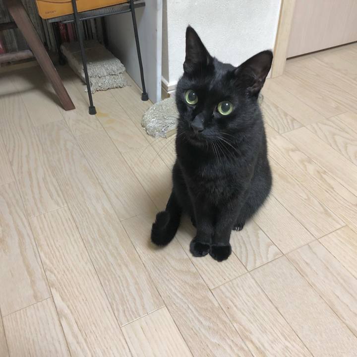 8c50393c 95b4 4a79 8683 0271df78718e 1635430971029