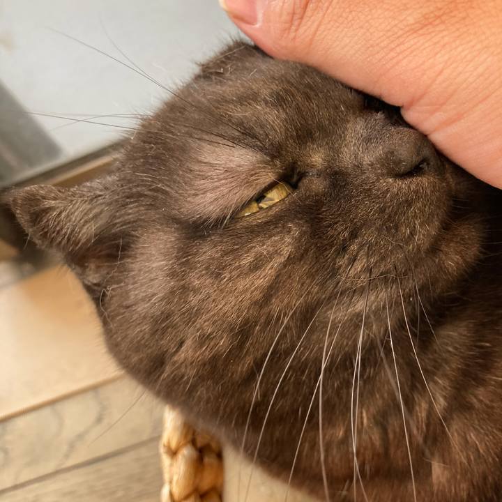 8c5078c6 2125 4249 987f 36b8e81ba418 1616487802532