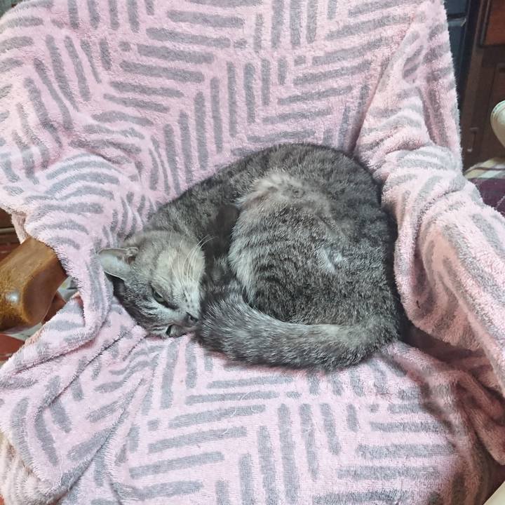 8c507b16 4b6d 423c a16a 6e04ad733bd1 1590616397282