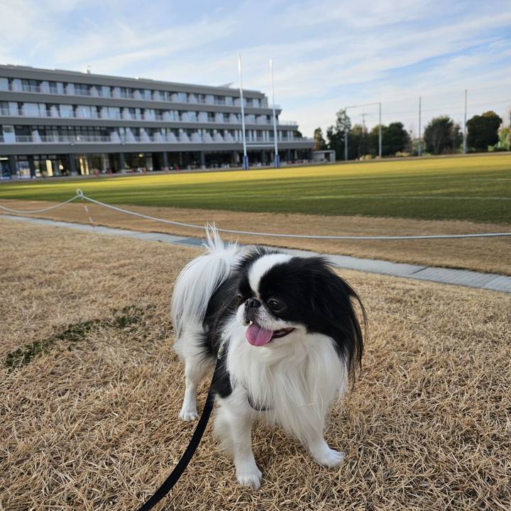 8c509701 c649 4d80 a103 825253f9fe50 1703934789340