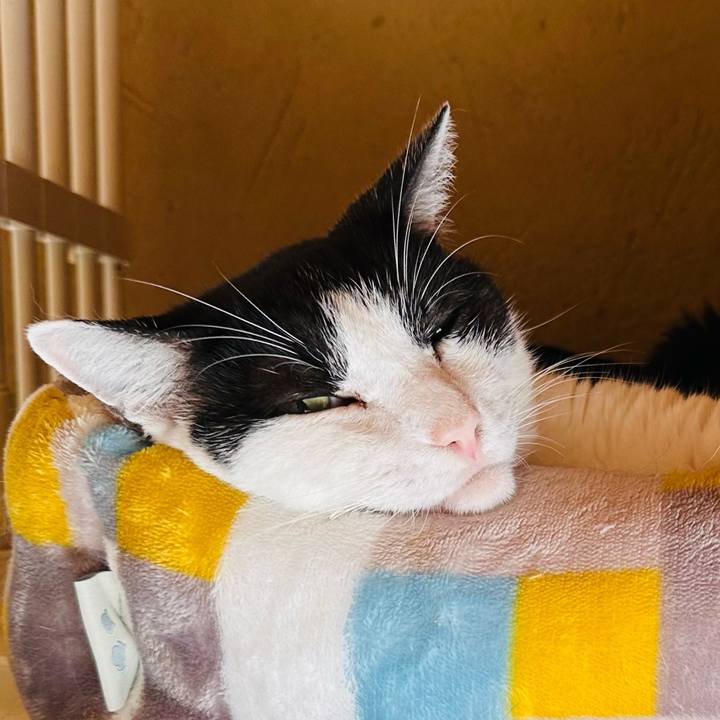 8c509f19 4cac 4b45 be0a a9512f621928 1698715155531