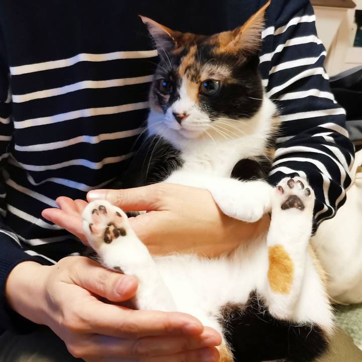 8c510d07 1822 4bed 9248 a93f80044cf3 1678521893903