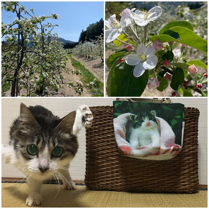 8c513640 35d7 4ff9 803b fbd86d3ae358 1651356426893