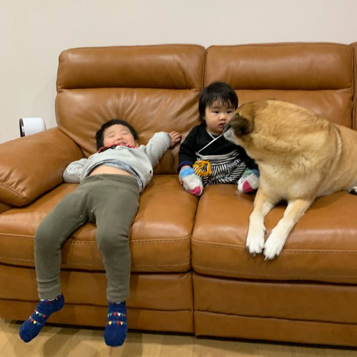 8c515700 dec9 405d ac6f d8c1e6bfff8b 1547023919186