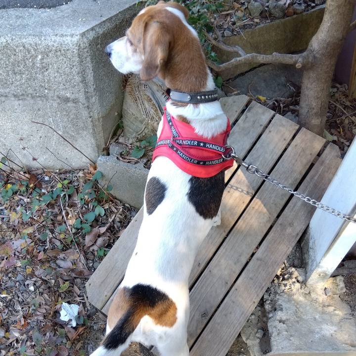 8c5166bb 739e 4f7e 937b f9c8f94e8d3a 1700988698383