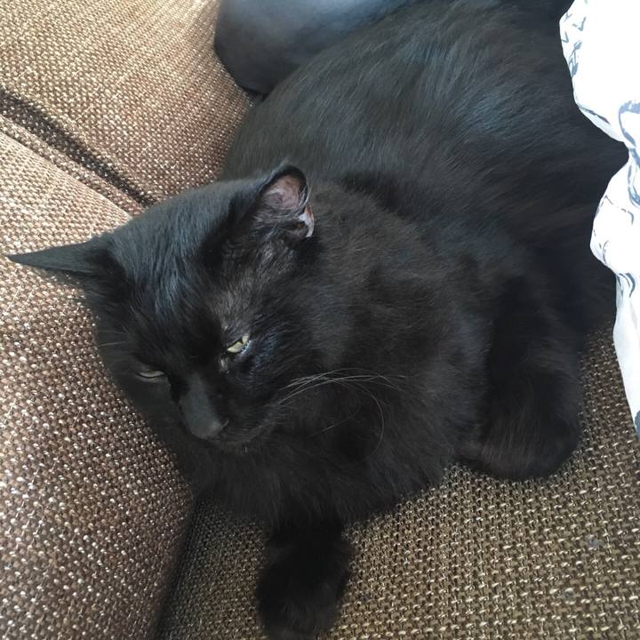 8c516b61 3456 4a05 addd 809a61b56ed4 1561710581177