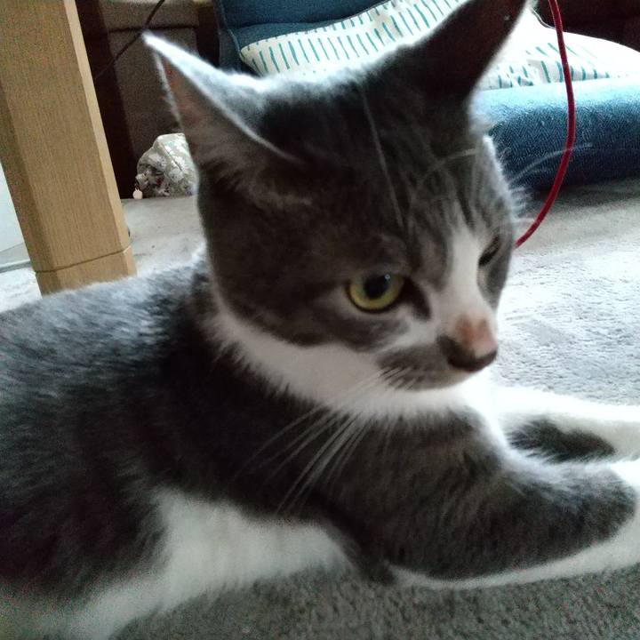 8c518a51 32b6 422a a378 ed9463c692fe 1596065584567