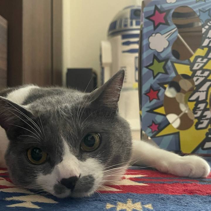 8c51990f 2912 499f bf37 4eb08a40f965 1629790168176